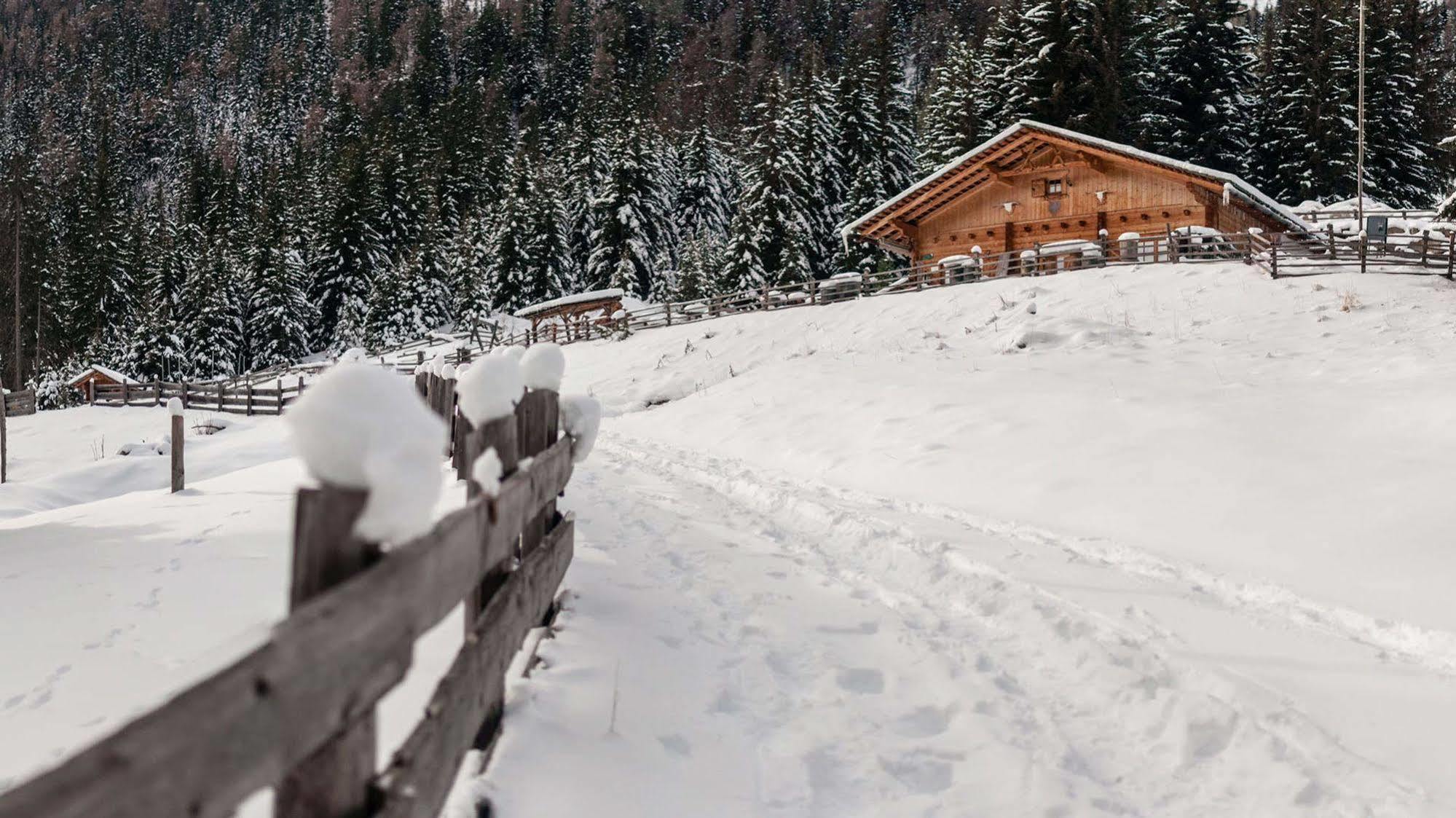 La Casies Mountain Hotel Santa Maddalena in Casies Exterior foto